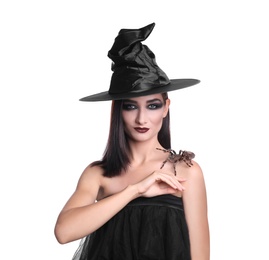 Photo of Mysterious witch in hat with spider on white background