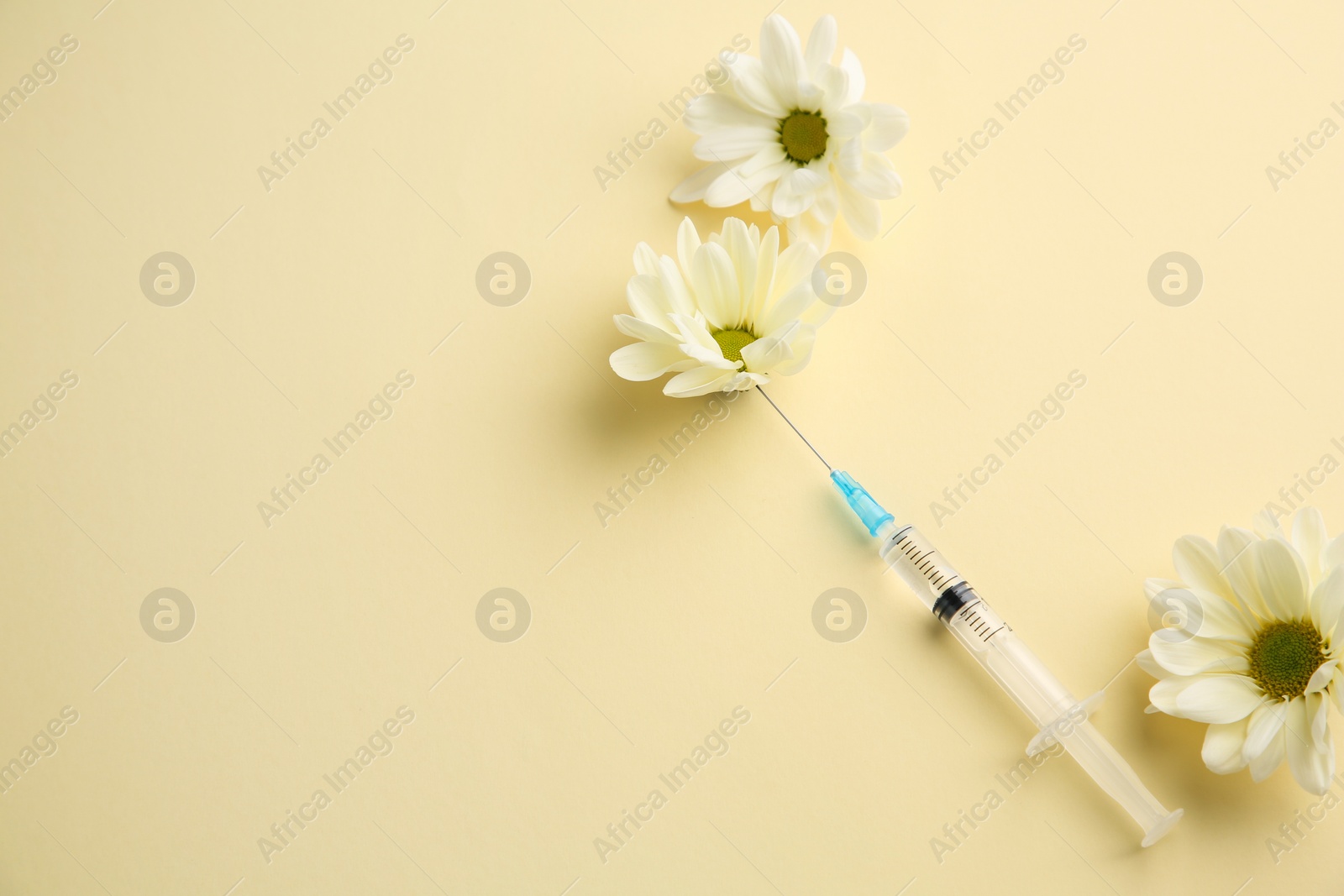 Medical syringe and beautiful chrysanthemum flowers on pale yellow background, above view. Space for text Photo of Medical syringe and beautiful chrysanthemum flowers on pale yellow background, above view. Space for text