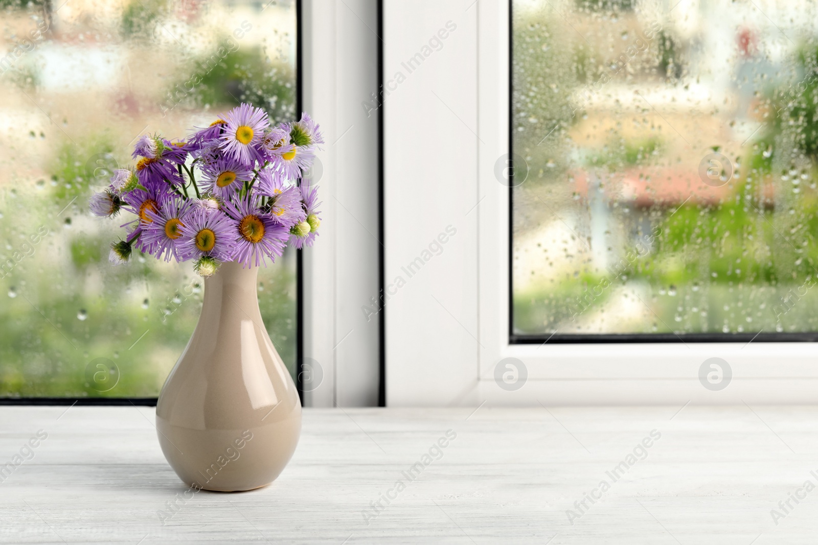 Photo of Vase with flowers near window on rainy day. Space for text