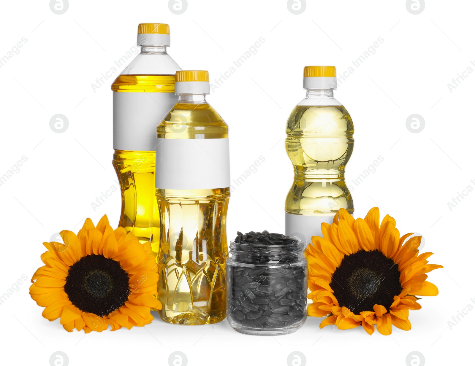 Photo of Bottles of sunflower cooking oil, seeds and yellow flowers on white background