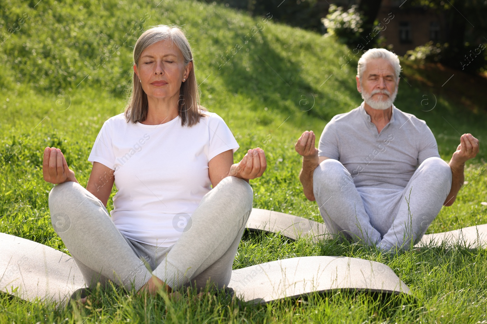 Photo of Senior couple practicing yoga on green grass in park