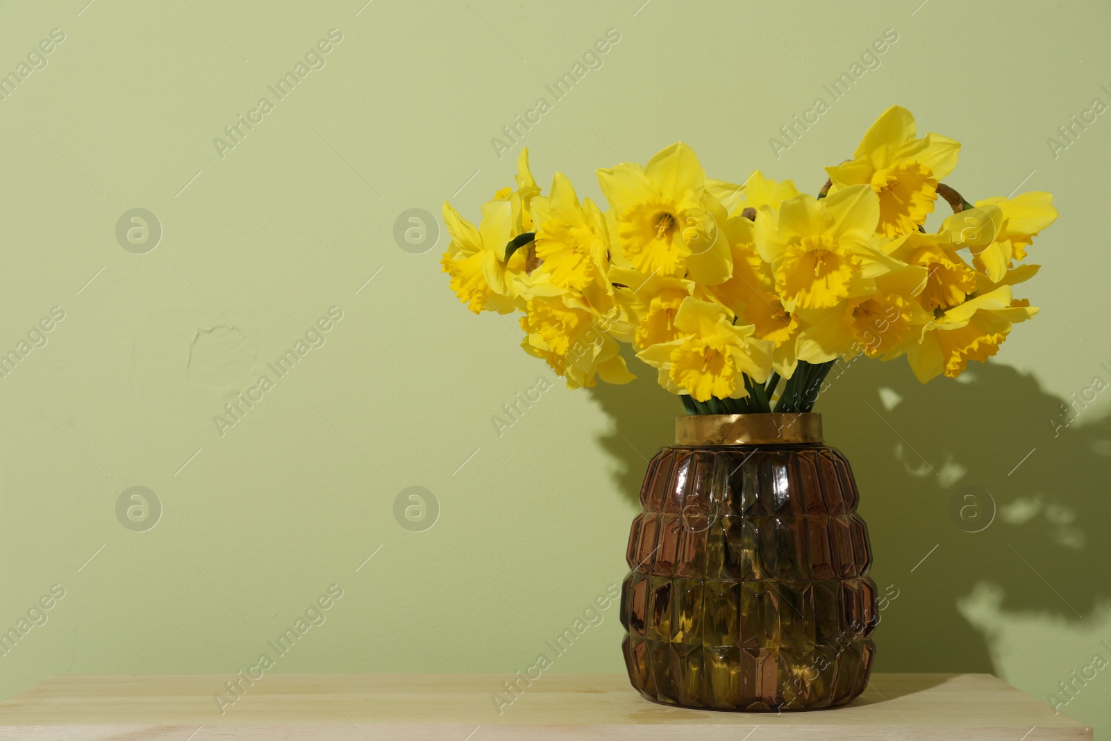 Photo of Beautiful daffodils in vase on table near light green wall, space for text