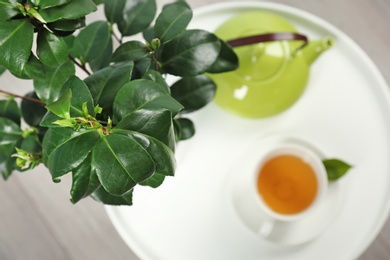 Photo of Tea plant with green leaves and hot drink on table, top view