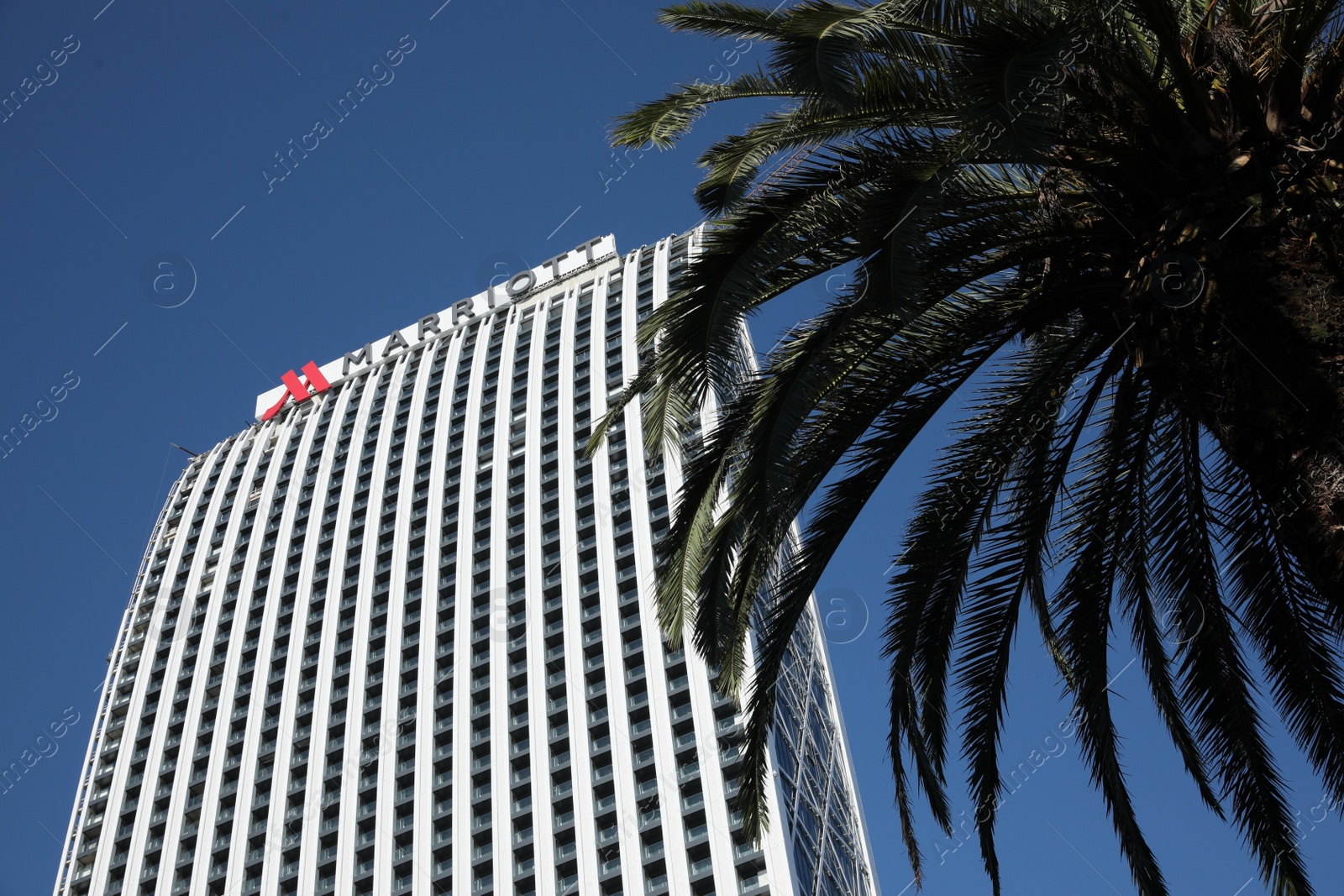 Photo of Batumi, Georgia - October 12, 2022: Mariott building and palm tree against blue sky, low angle view