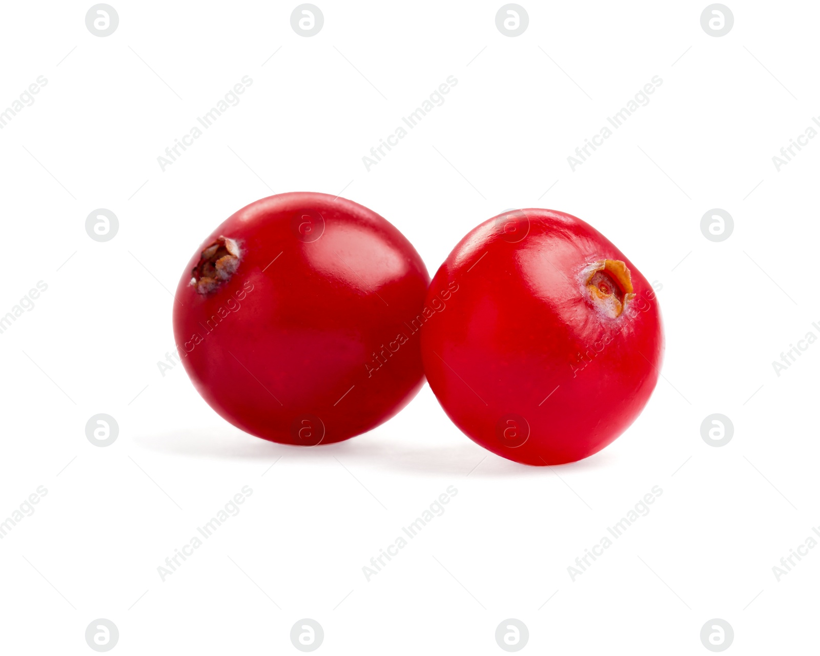 Photo of Two fresh ripe cranberries isolated on white