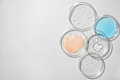 Flat lay composition with Petri dishes on light grey background, space for text