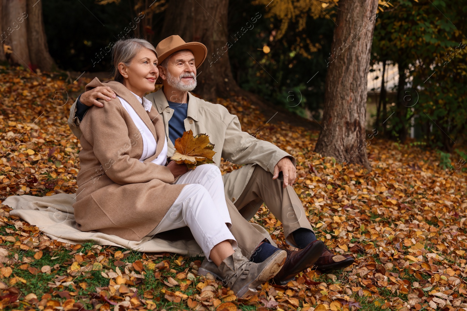 Photo of Affectionate senior couple with dry leaves on blanket in autumn park