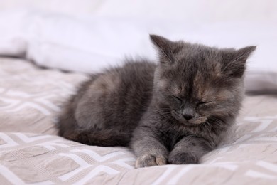 Photo of Cute fluffy kitten sleeping on soft bed