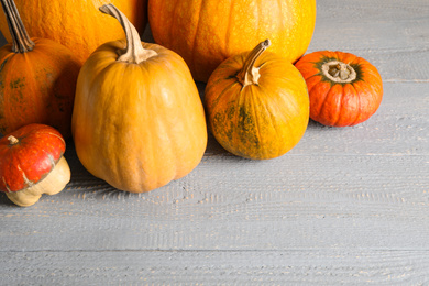 Photo of Many different ripe pumpkins on wooden table