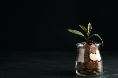 Photo of Glass jar with coins and green plant on black table, space for text
