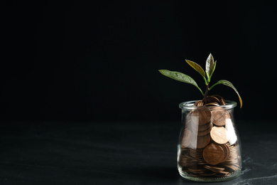 Glass jar with coins and green plant on black table, space for text