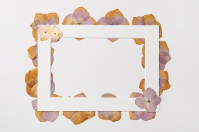 Photo of Frame with wild dried meadow flowers on white background, flat lay. Space for text