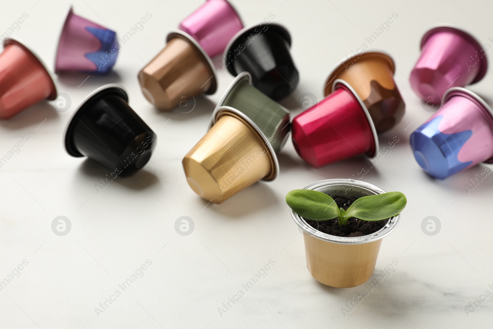 Photo of Coffee capsules and seedling on white marble table