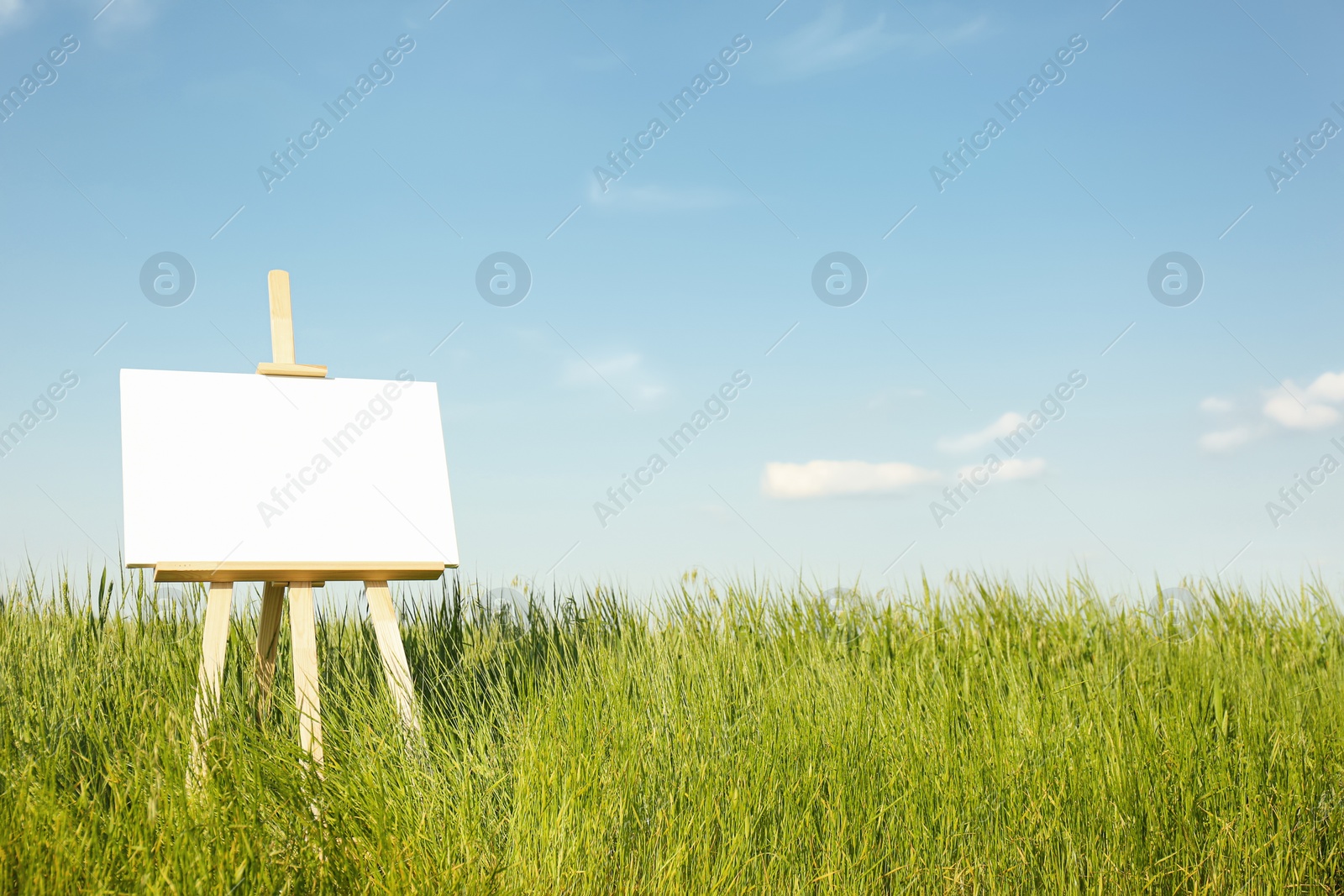 Photo of Wooden easel with blank canvas in picturesque green field on sunny day. Space for text