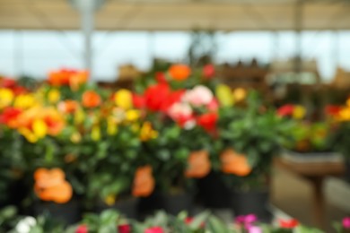 Photo of Blurred view of garden center with many different blooming plants