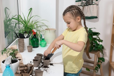 Little girl adding soil into peat pots on window sill indoors. Growing vegetable seeds