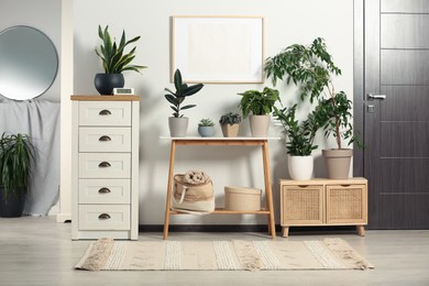 Photo of Stylish room interior with wooden furniture and beautiful green houseplants