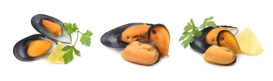 Image of Set with tasty cooked mussels on white background. Banner design