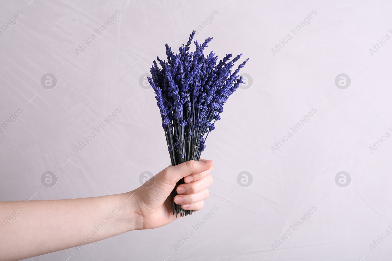 Photo of Woman holding bouquet of beautiful preserved lavender flowers on beige background, closeup