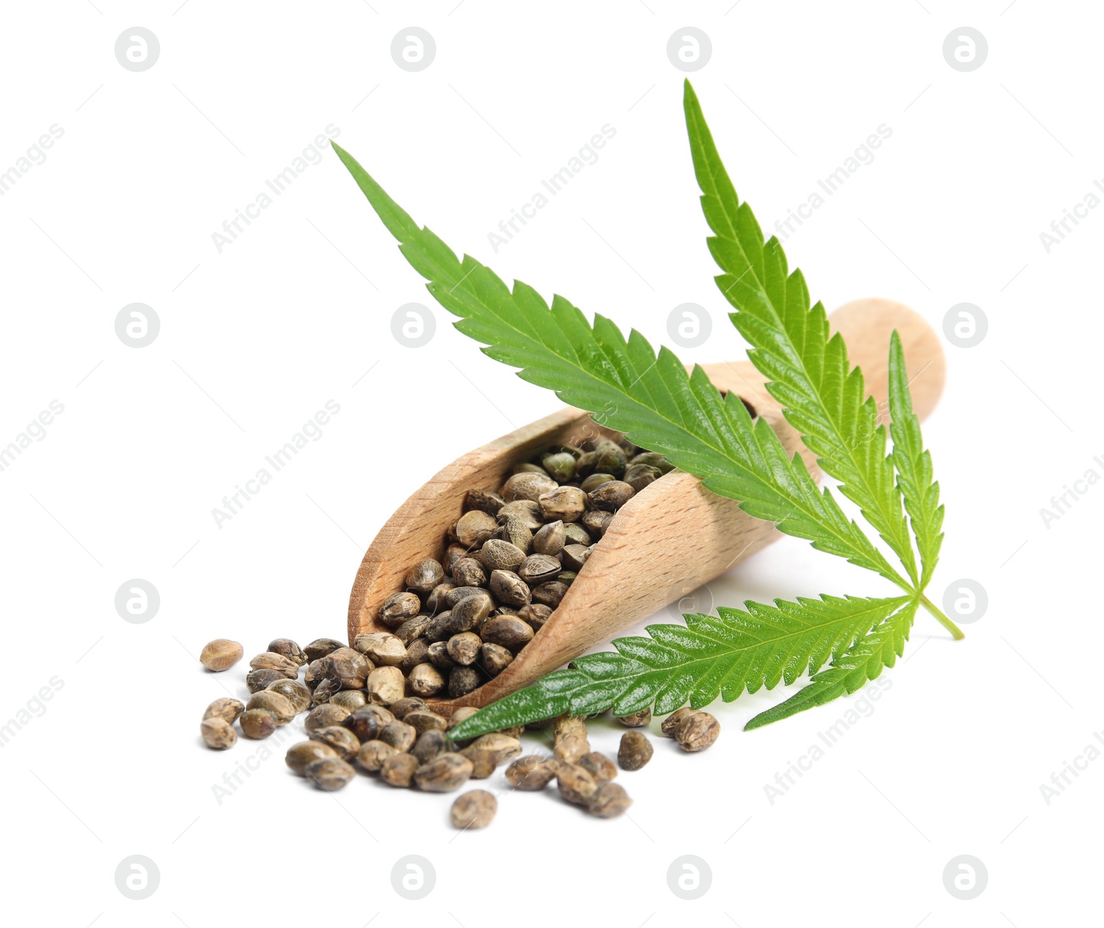 Photo of Wooden scoop with hemp seeds and leaf on white background