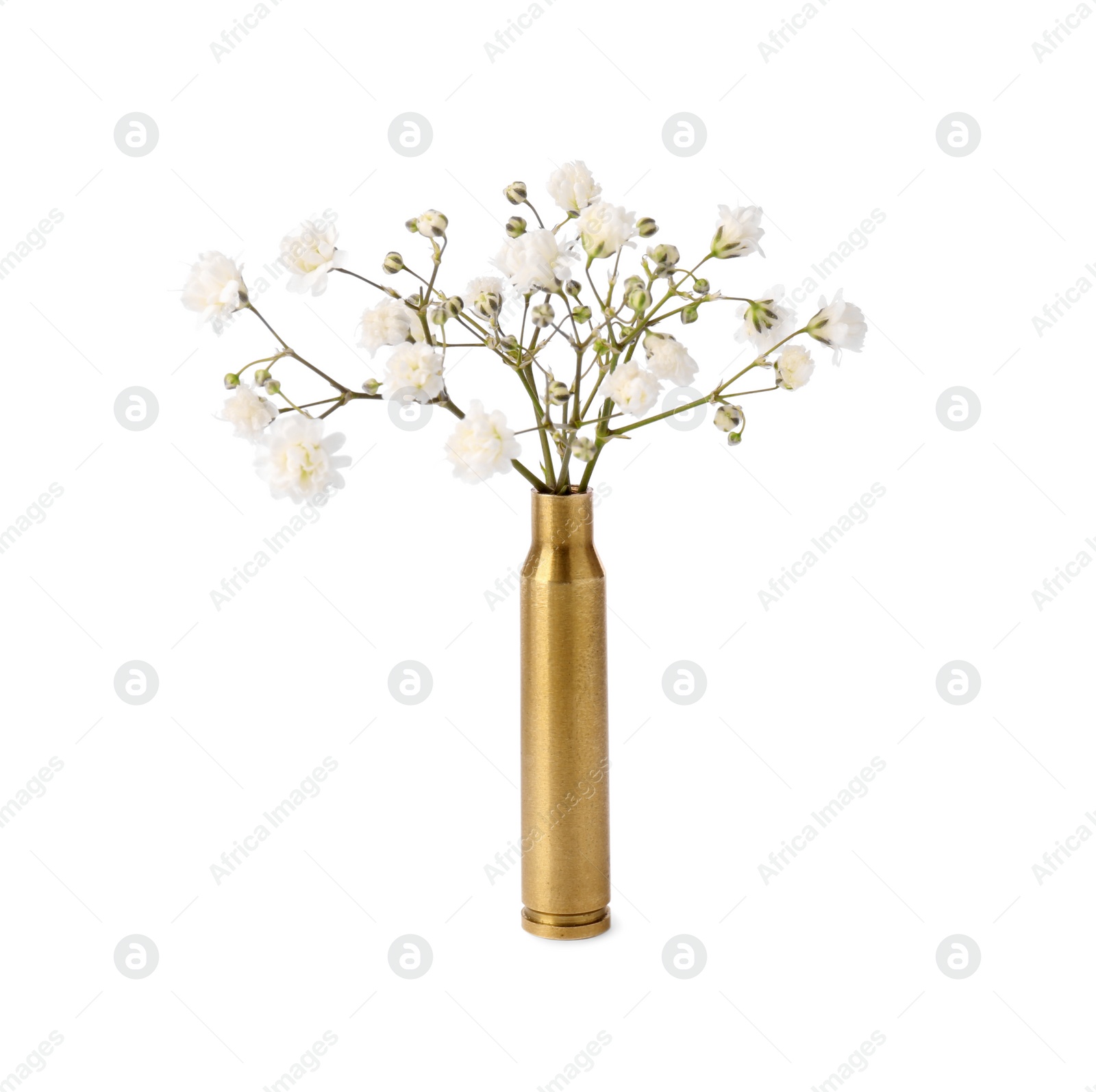 Photo of Beautiful gypsophila flowers in bullet case isolated on white
