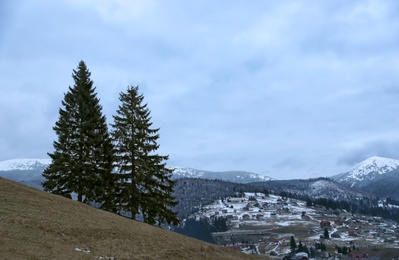 Fir trees near mountain village covered with snow