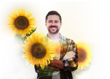 Image of Double exposure of farmer and sunflower field on white background