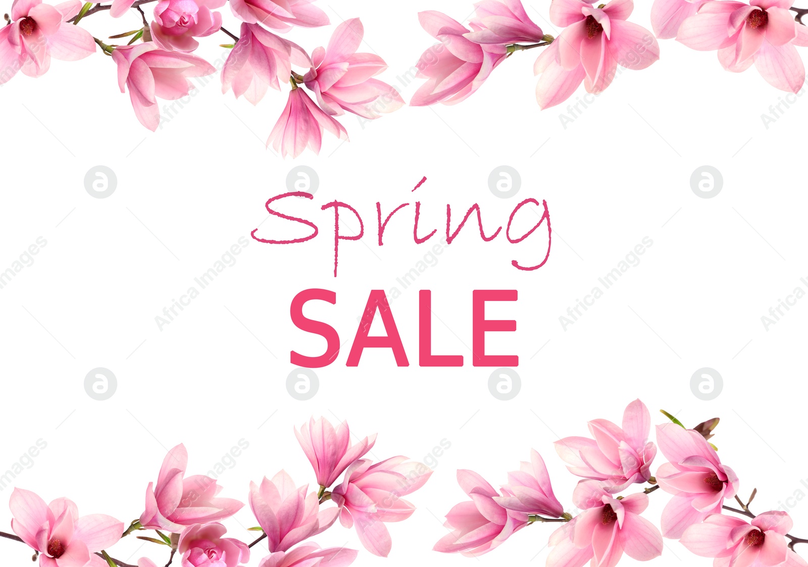 Image of Spring sale flyer design with text and beautiful magnolia flowers on white background