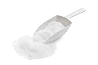 Natural sea salt and scoop on white background