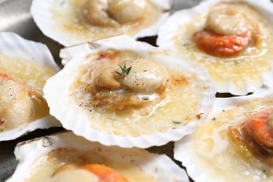 Photo of Fried scallops in shells on plate, closeup