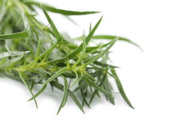 Bunch of fresh tarragon on white background