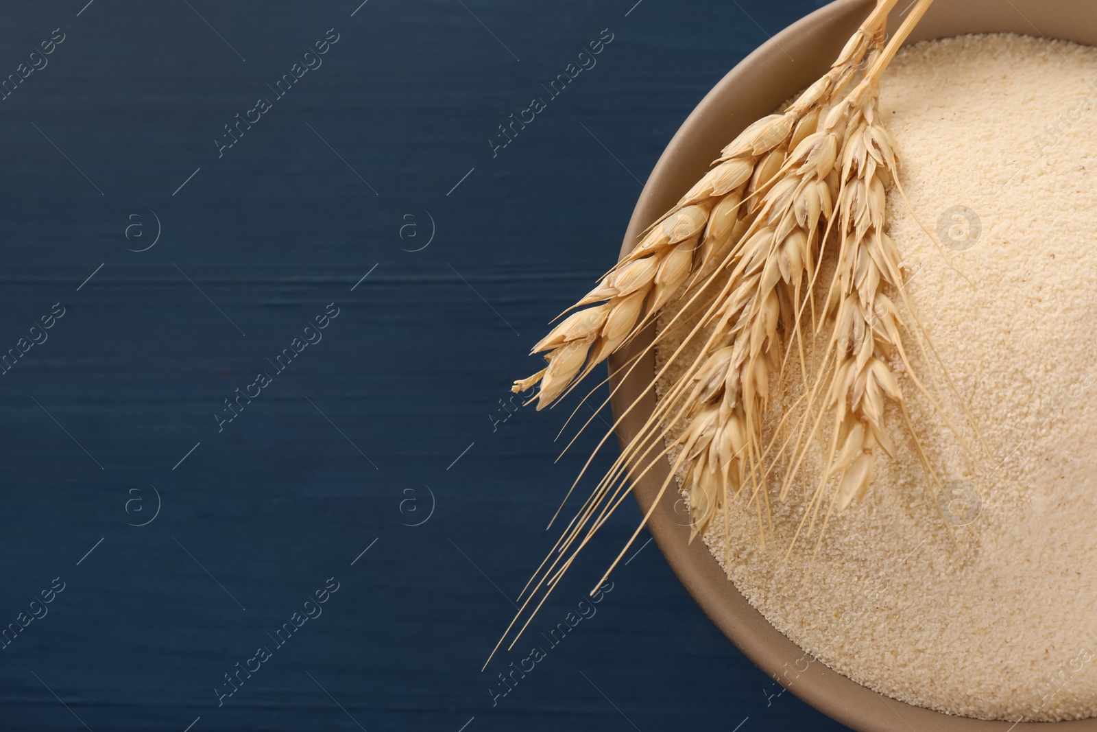 Photo of Uncooked organic semolina and spikelets on blue wooden table, top view. Space for text