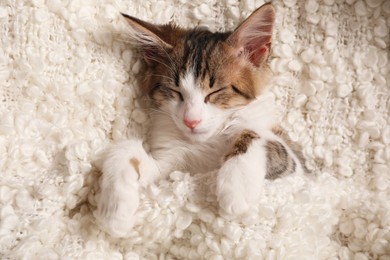 Photo of Cute kitten sleeping on soft plaid, top view. Baby animal