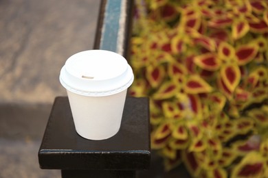 Cardboard cup of tasty coffee near flower bed outdoors. Space for text