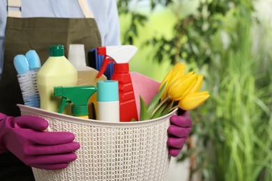 Photo of Woman holding basket with spring flowers and cleaning supplies outdoors, closeup