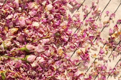 Photo of Scattered dried tea rose flowers and petals on striped fabric, top view
