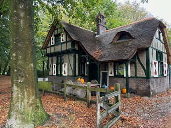 Photo of Beautiful grey house among trees in autumn park