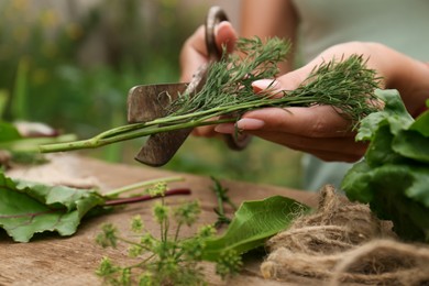 Photo of Woman cutting fresh green dill with scissors outdoors, closeup