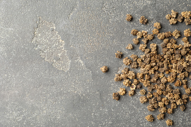 Raw beet seeds and space for text on grey background, flat lay. Vegetable planting