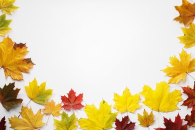 Photo of Beautiful autumn leaves on white background, top view. Space for text