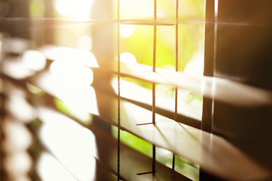 Window with blinds on sunny day, closeup