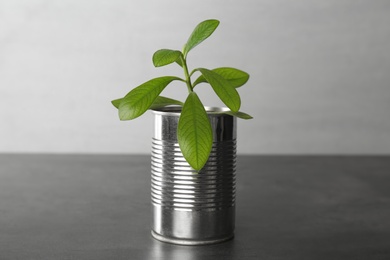 Photo of Beautiful houseplant in tin can on grey stone table, closeup