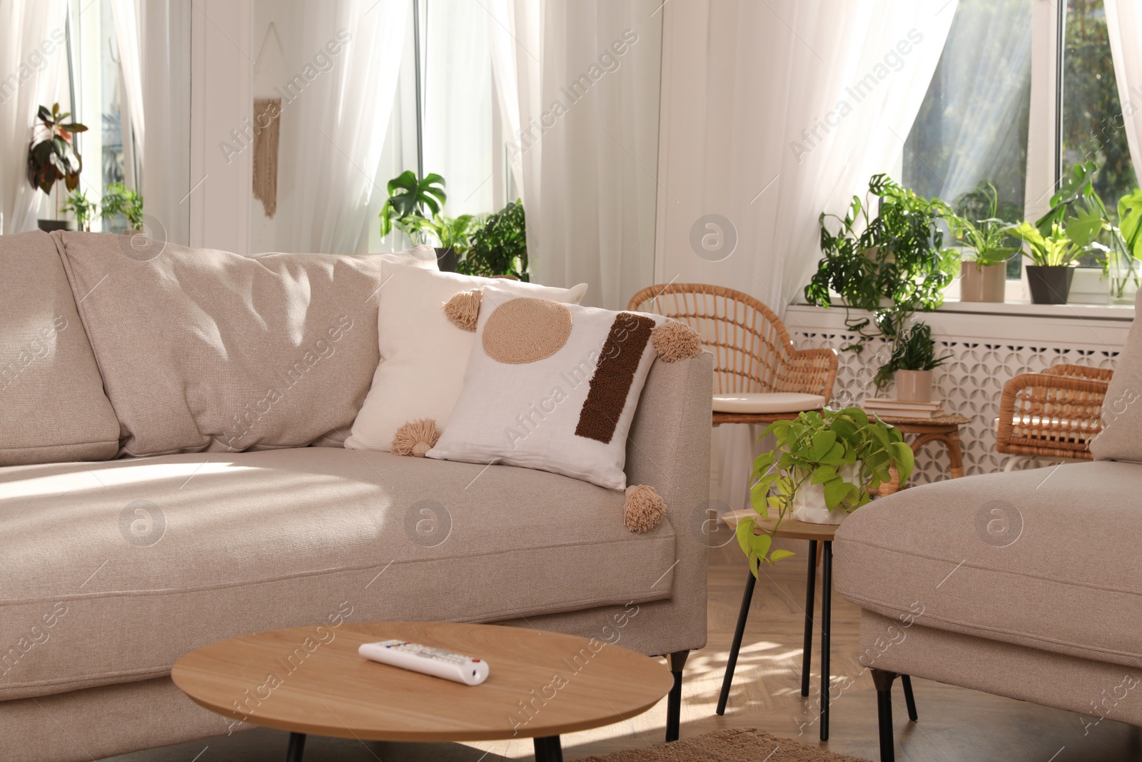 Photo of Stylish living room with comfortable sofas and beautiful houseplants