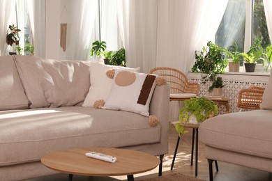 Stylish living room with comfortable sofas and beautiful houseplants