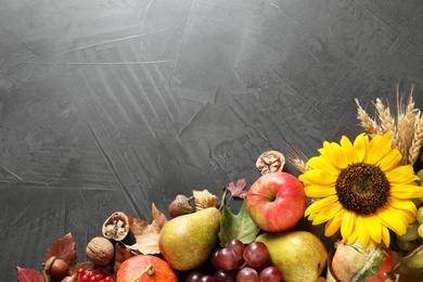 Autumn fruits and vegetables on grey background, flat lay with space for text. Happy Thanksgiving day