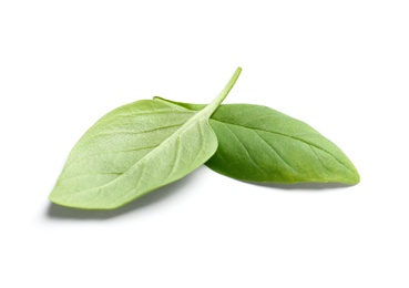 Photo of Fresh green basil leaves on white background