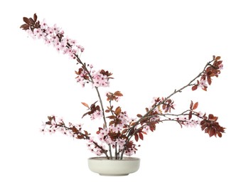 Spring season. Composition with beautiful blossoming tree branches isolated on white