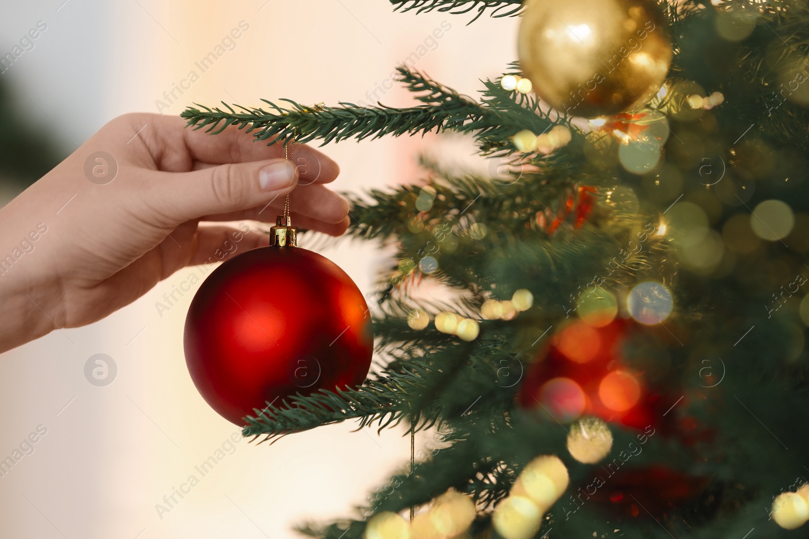 Photo of Woman decorating Christmas tree with red festive ball on light background, closeup