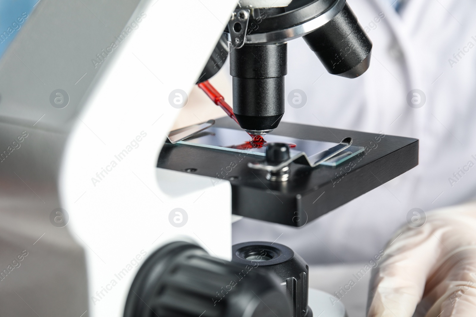 Photo of Scientist dripping blood sample onto slide on microscope in laboratory, closeup. Virus research