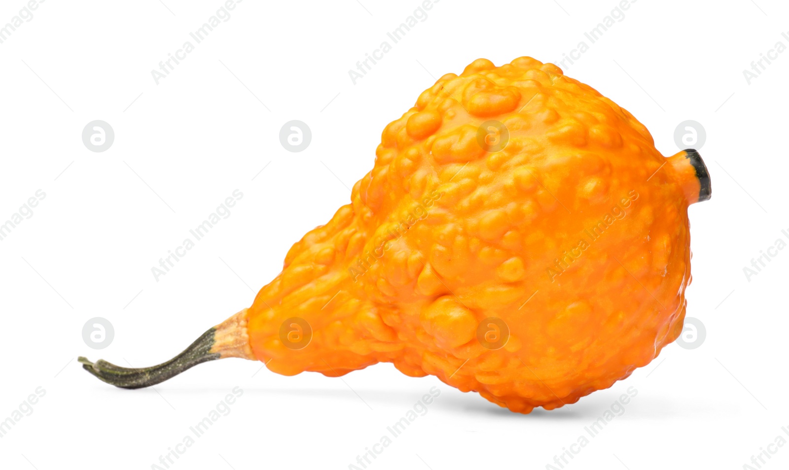 Photo of One fresh orange pumpkin isolated on white